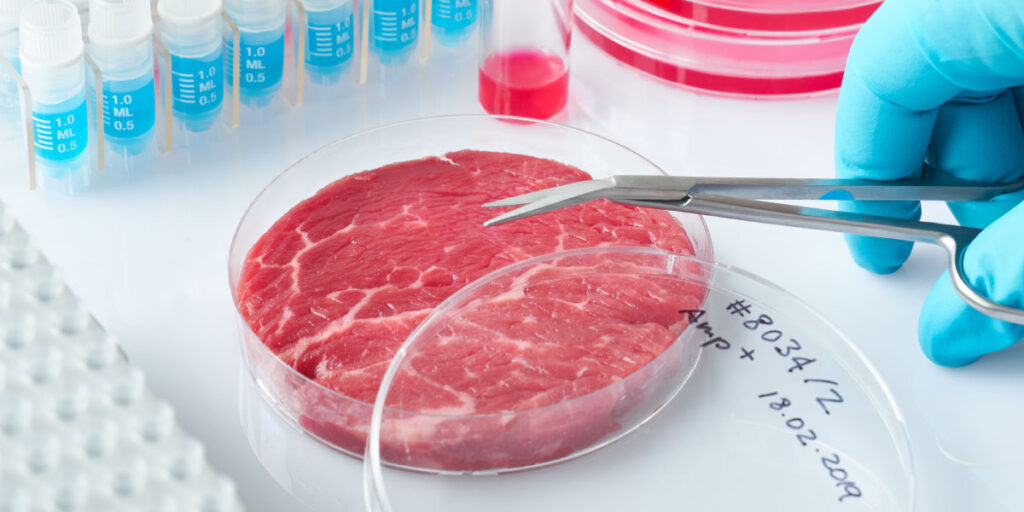 Lab Grown Meat: Is It Safe for My Child? Is It Safe to Feed Lab-Grown Meat to My Child?