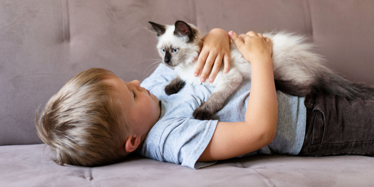 kid having a cat on his belly