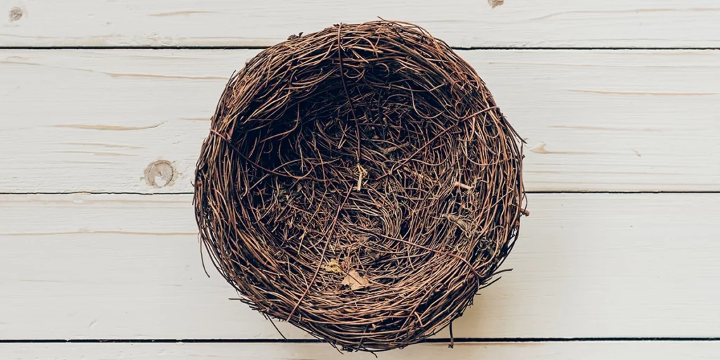 Ein leeres Nest