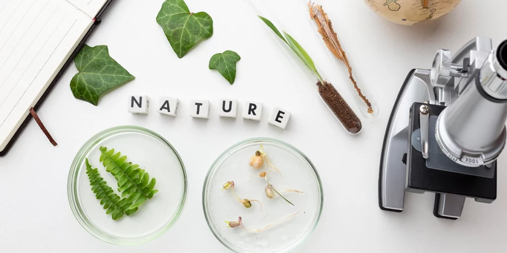 plants in glassware with a globe and microscope