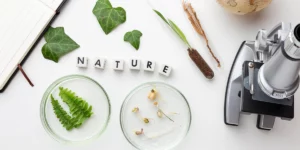 plants in glassware with a globe and microscope