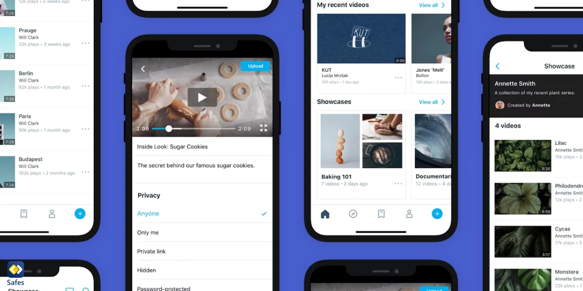 Vimeo privacy settings
